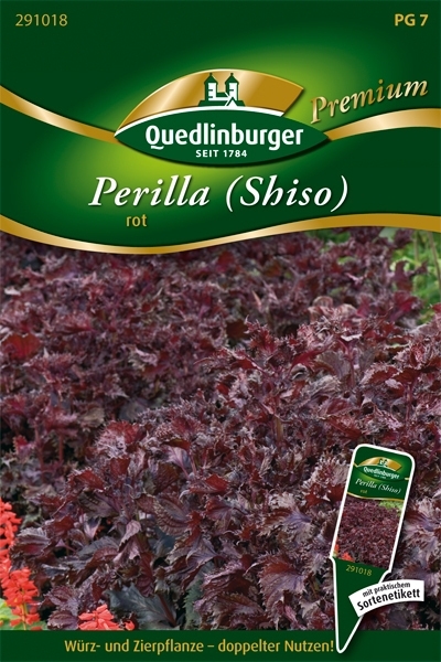 Perilla Shiso MHD 01/27