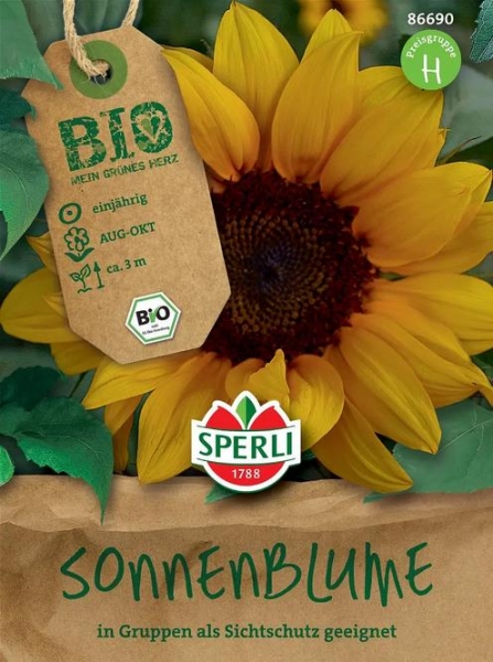 Bio-Sonnenblume 280cm