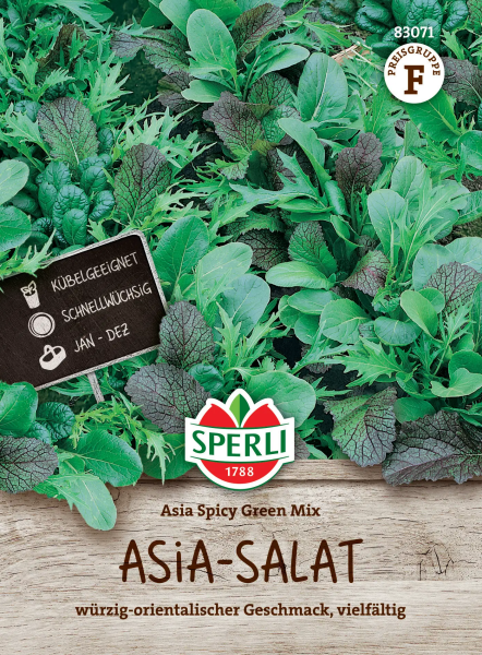 Salat Asia Spicy Greens Mix