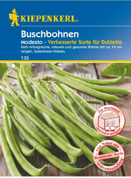 Buschbohne Modesto