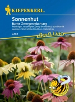 Sonnenhut Bunte Zwergenmischung