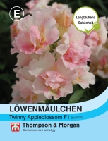 Löwenmaul Appleblossom