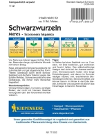 Schwarzwurzel Meres