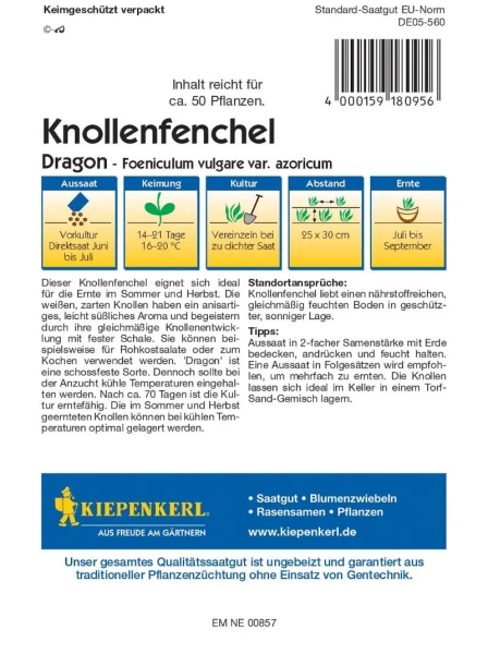 Knollenfenchel Dragon, F1