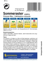 Sommeraster Prinzess Blau MHD 01/25