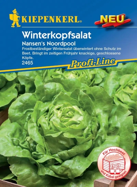 Winterkopfsalat Nansens Noordpool