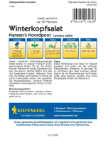 Winterkopfsalat Nansens Noordpool