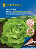 Kopfsalat Analena Saatband 5m