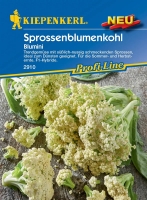 Sprossenblumenkohl Blumini, F1 MHD 01/25