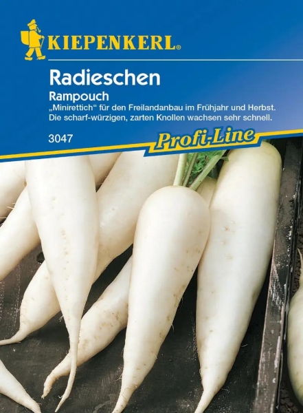 Radieschen Rampouch