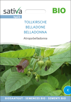 Bio-Tollkirsche Belladonna