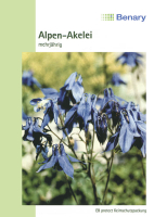 Alpen-Akelei, mehrjährig
