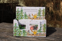 Bio-Gewächshaus-Tomaten-Box