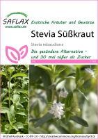 Honigkraut / Stevia