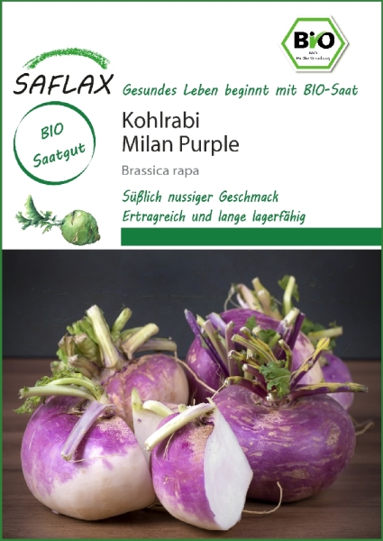 Bio-Kohlrabi Milan Purple