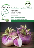 Kohlrabi Milan Purple
