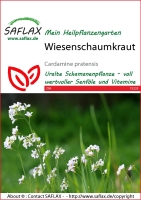 Wiesenschaumkraut