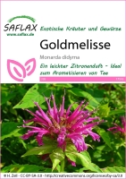 Goldmelisse Indianernessel