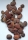 Indische Buche
