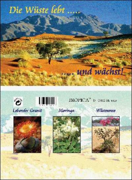 Die Wüste lebt....und wächst