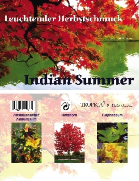 Indian Summer