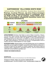Gartenwicke Villa roma White Rose