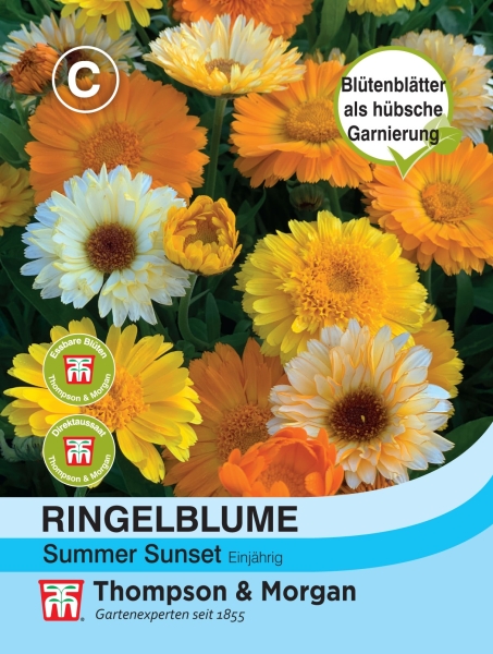 Ringelblume Summer Sunset