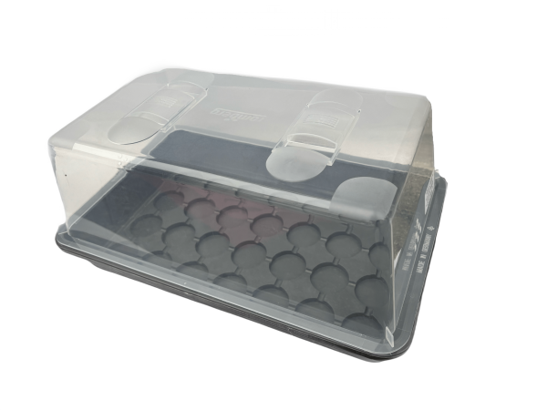 Gewächshaus M Color Grau