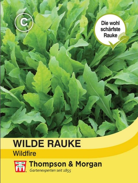 Wilde Rauke Wildfire