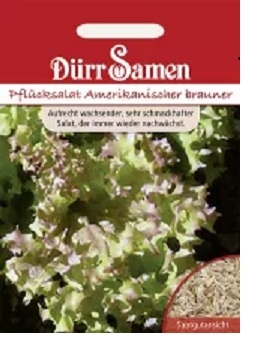 Pflücksalat Amerikanischer brauner 50g