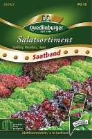 Salatsortiment Blattlausresistent 6m Saatband