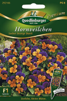 Hornveilchen Sorbet Orange Duett