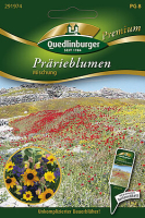 Prärieblumen Mischung