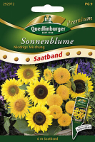 Sonnenblumen Mix 80cm hoch Saatband 6m