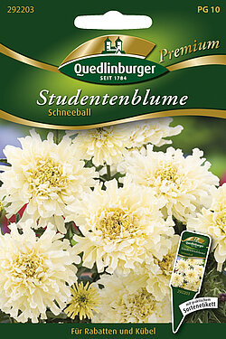 Studentenblumen Schneeball