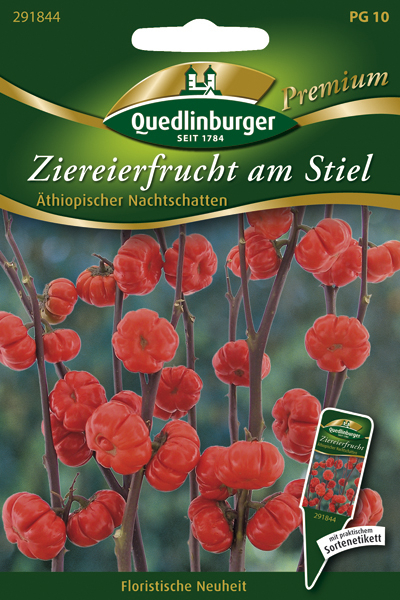 Ziereierfrucht am Stiel