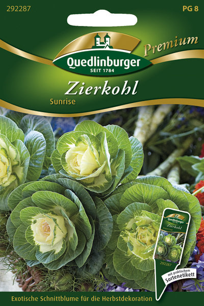 Zierkohl Sunrise MHD 01/26