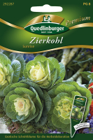 Zierkohl Sunrise MHD 01/26