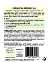 Scheinmohn Betonicifolia Himmelblau