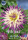 Dahlie Veritable