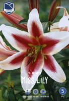 Lilie Miss Lily