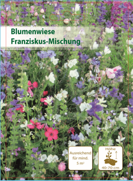 Blumenwiese Franziskusmix 30m²