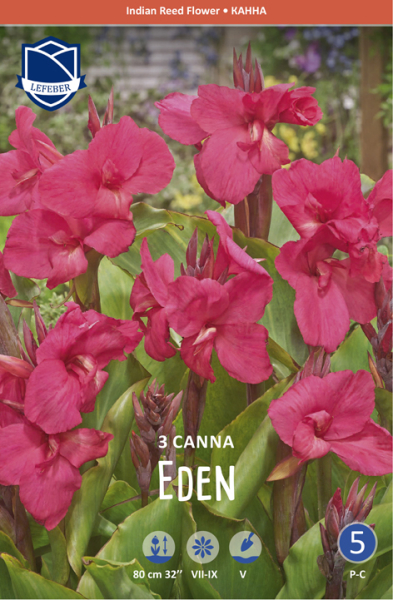 Canna Eden