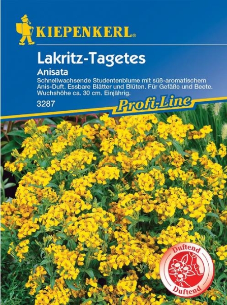 Lakritz-Tagetes Anisata MHD 01/26