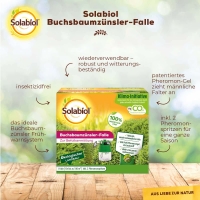 Solabiol Buchsbaumzünsler-Falle MHD 05/24