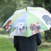 Regenschirm Hunde