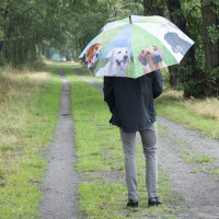 Regenschirm Hunde