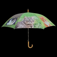 Regenschirm Katzen