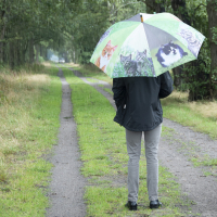 Regenschirm Katzen