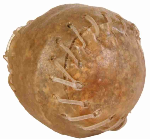 Kauball Rinderhaut 70g